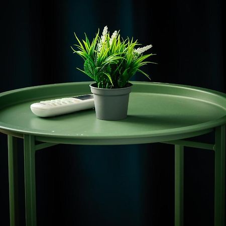 Cozy And Chic Studio Apartment Τίρανα Εξωτερικό φωτογραφία
